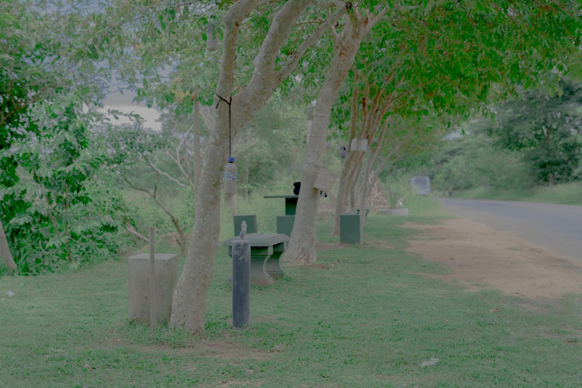 Wilpattu Restaurant & Guest House Pahala Maragahawewa Bagian luar foto